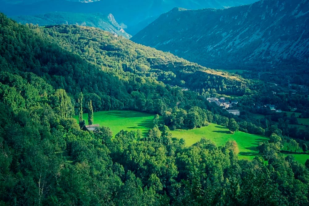 imagen durante un retiro personalizado en la naturaleza