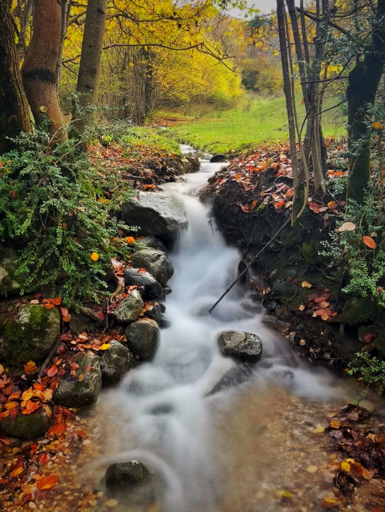 Pequeña cascada en otoño